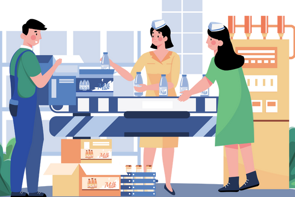 Packaging & Branding